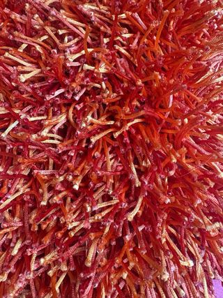 Coppia di tappeti Shaggi arancione e rosso