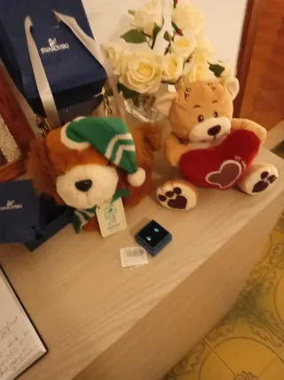 Peluche San Valentino orecchini Luce Azzurra Elett