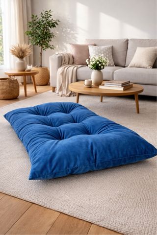 Lettino/Cuccia Cane Gatto Blu 100x70