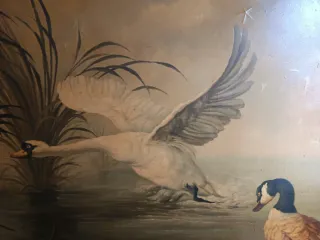 Cuadro óleo lienzo cisne y patos