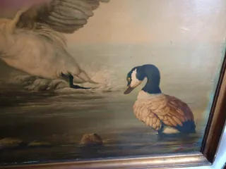 Cuadro óleo lienzo cisne y patos