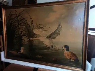 Cuadro óleo lienzo cisne y patos