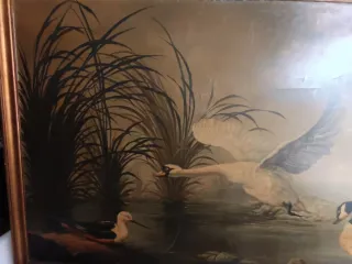 Cuadro óleo lienzo cisne y patos