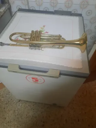 Trompeta dorada con estuche