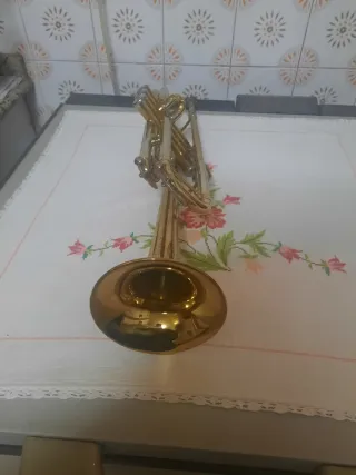 Trompeta dorada con estuche