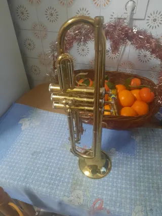 Trompeta dorada con estuche