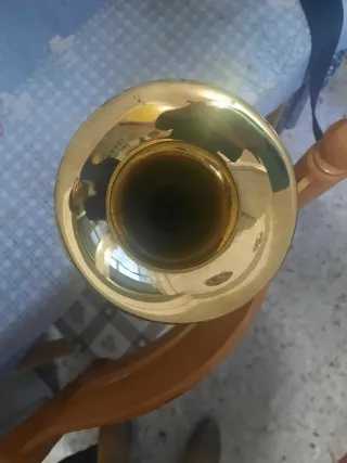 Trompeta dorada con estuche