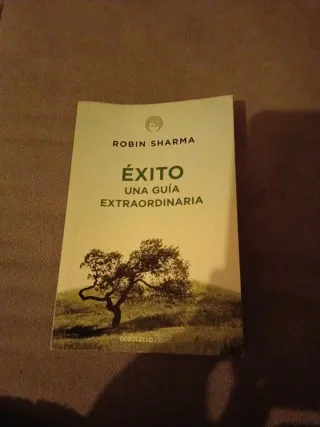 Éxito. Una guía extraordinaria (Spanish Edition)