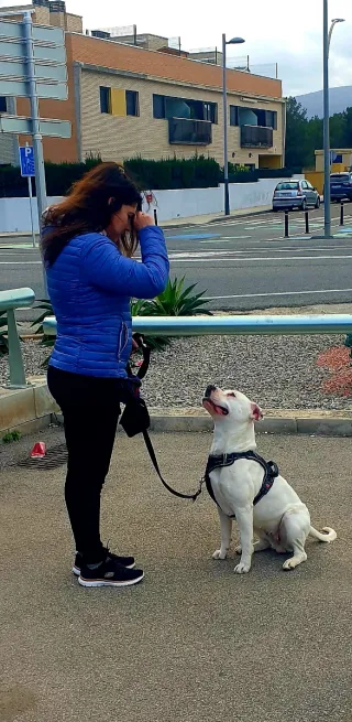 Consultoría canina online · Cosmic Can