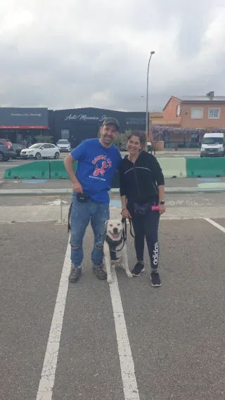 Consultoría canina online · Cosmic Can