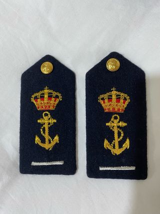 Palas Galones CAES 1 Armada