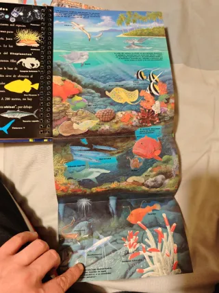 Pack 4 libros biblioteca interactiva (infantiles)