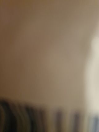 Libro de cocina vegetariana