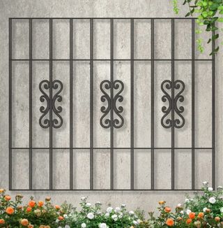 Verjas de Hierro Forjado para Ventanas