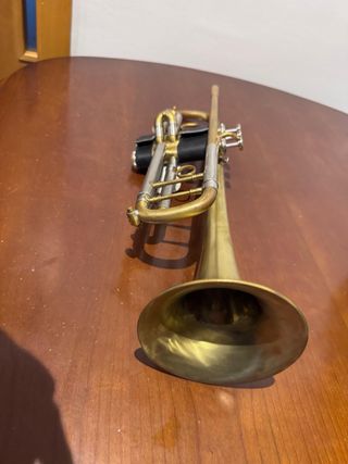 Trompeta Jupiter 1010