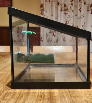 Terrario para tortuga con palmera