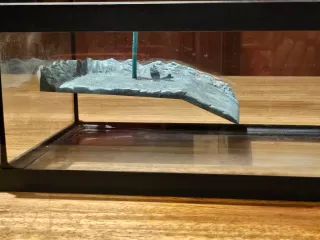 Terrario para tortuga con palmera