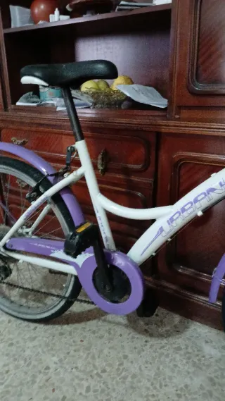 Bicicleta infantil morada