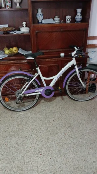 Bicicleta infantil morada