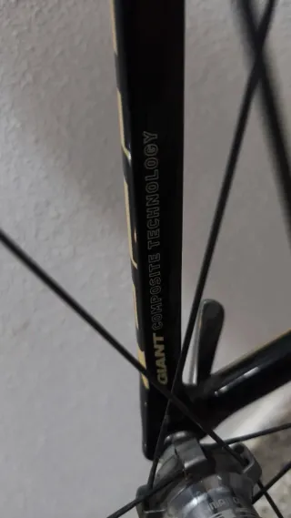 Giant TCR Carbono Talla 54 | Ultegra + Potenciómet