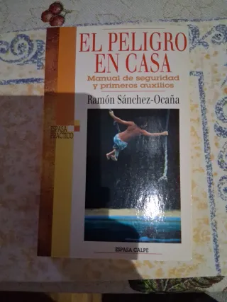 PELIGRO EN CASA,EL.MANUAL DE SEGURIDAD Y