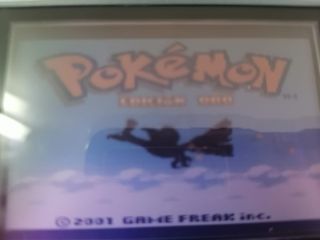 Cartucho Pokémon Oro Game Boy Nintendo