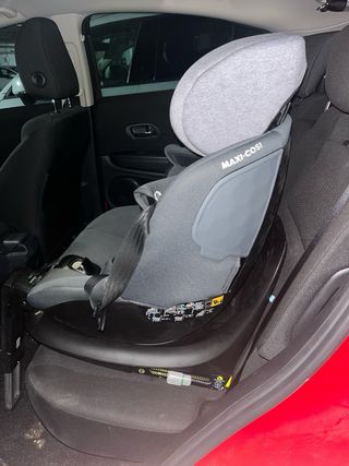 Silla Coche Maxi-Cosi Isofix Grupo 0-3