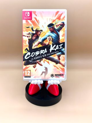 Cobra Kai The Karate Kid Saga Continues - Switch