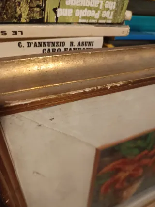 Dipinto fiori con paspartu