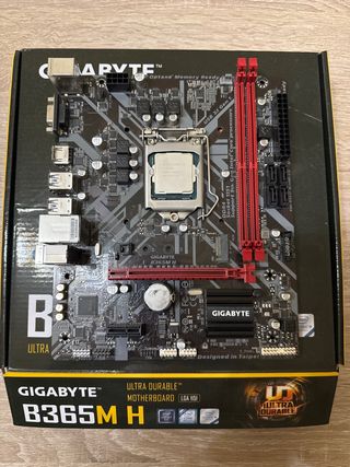 Pack Placa Base Gigabyte B365M + Intel i5-9400F