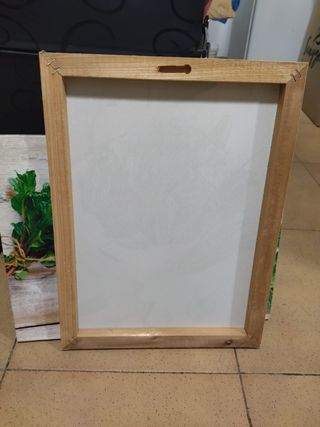 2 Cuadros Decorativos Vegetales