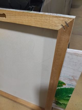 2 Cuadros Decorativos Vegetales