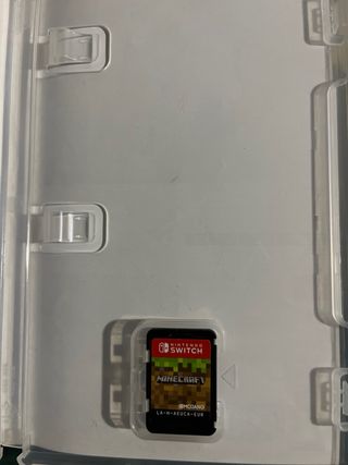 Minecraft Nintendo Switch