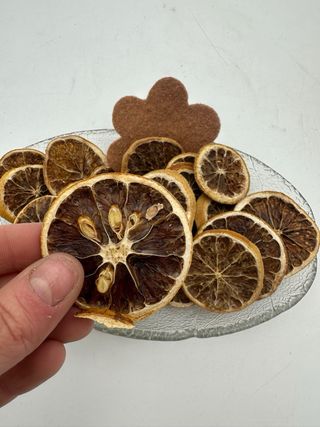 Arance essiccate decorative