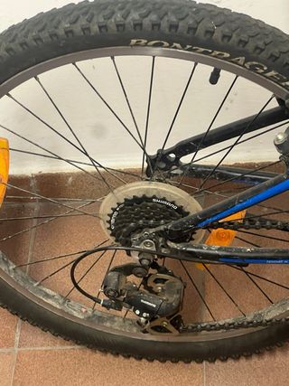 Bicicleta Trek Junior