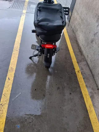 Bicicleta Eléctrica Honey Whale 48V 350W