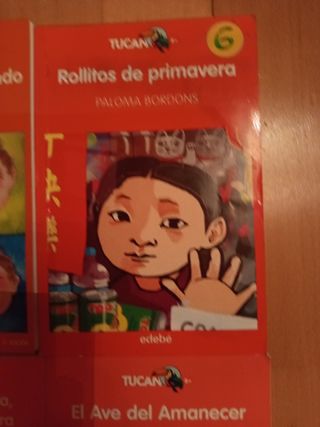 Libros de texto edebe colección TUCAN niños +8