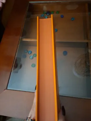 Orgullo y prejuicio: Introducción de Hilary Mantel