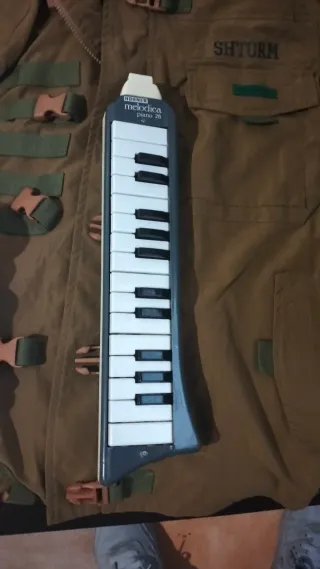 Melódica Hohner Piano 26 Alemana