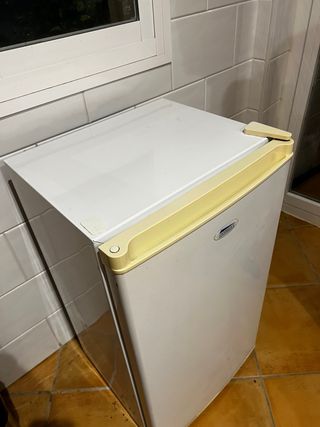 Nevera pequeña Domest