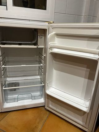 Nevera pequeña Domest
