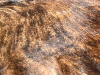 Liquidación x traspaso! Alfombra piel 170x180 (42)