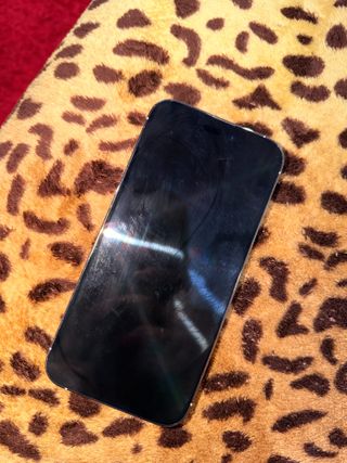 iPhone 14 Pro Max Argento