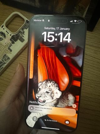 iPhone 16 Pro Max apenas usado