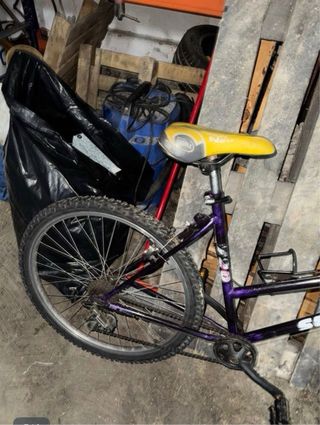 Bicicleta Morada