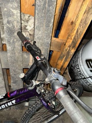 Bicicleta Morada