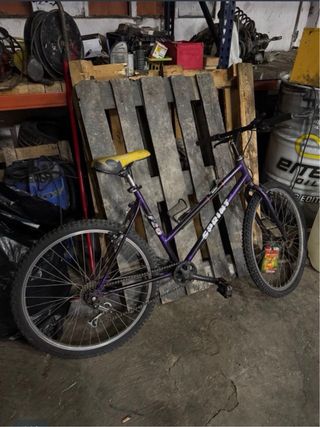 Bicicleta Morada