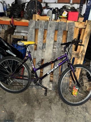 Bicicleta Morada