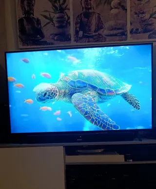 Smart TV Negro/Plata