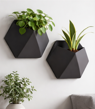 Maceta hexagonal de pared